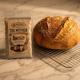 The Mother — Free 288-Year-Old Sourdough Starter